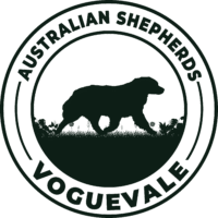 Voguevale Australian Shepherds
